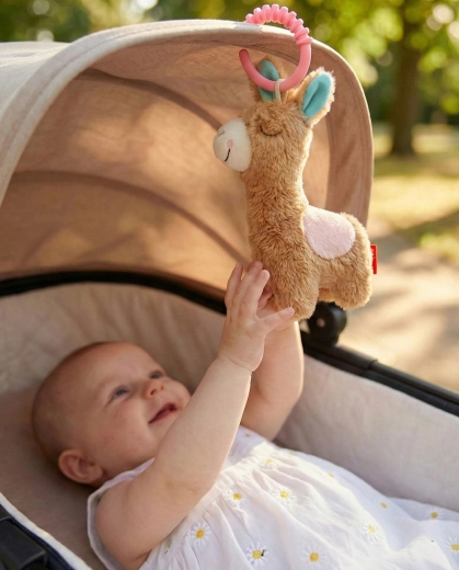 Lus om aan kinderwagen of wieg te hangen
