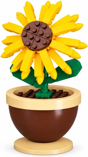 Opvallende zonnebloem in een pot