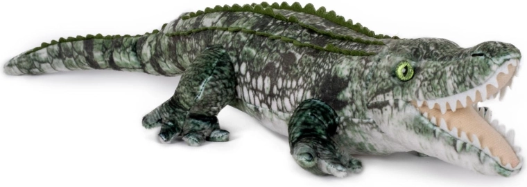 Realistische uitstraling van de krokodil