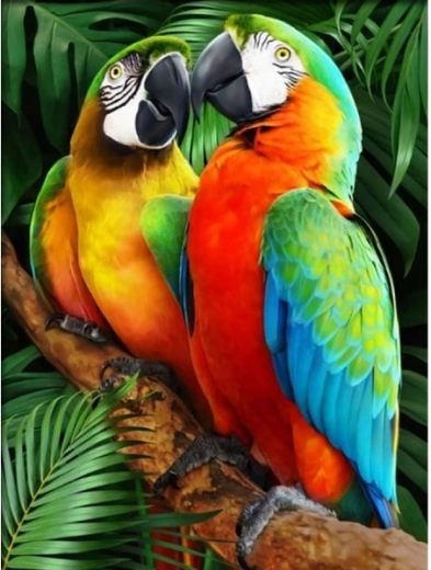 Diamantmozaïek (diamond painting) kleurrijke ara’s 30 × 40 cm