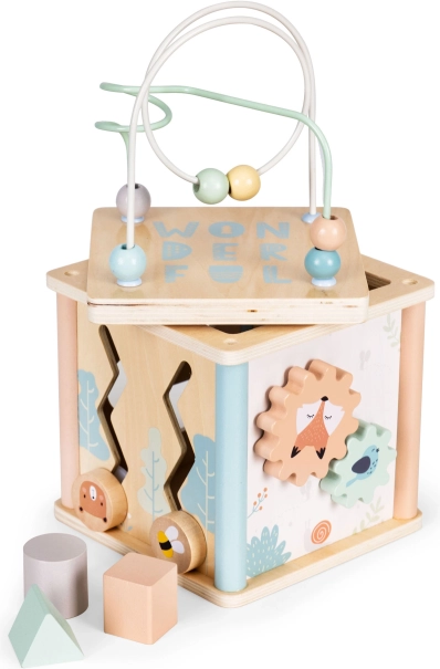 Houten educatieve kubus met sorteerder ECOTOYS