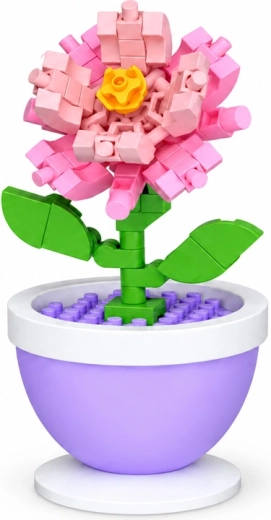 Roze anjer als decoratie