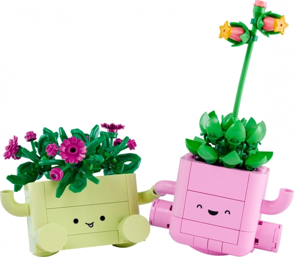 Schommelbloempotten met schattige gezichtjes