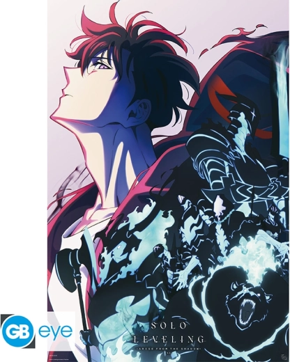 Solo Leveling maxi poster 91,5 × 61 cm – Season 2