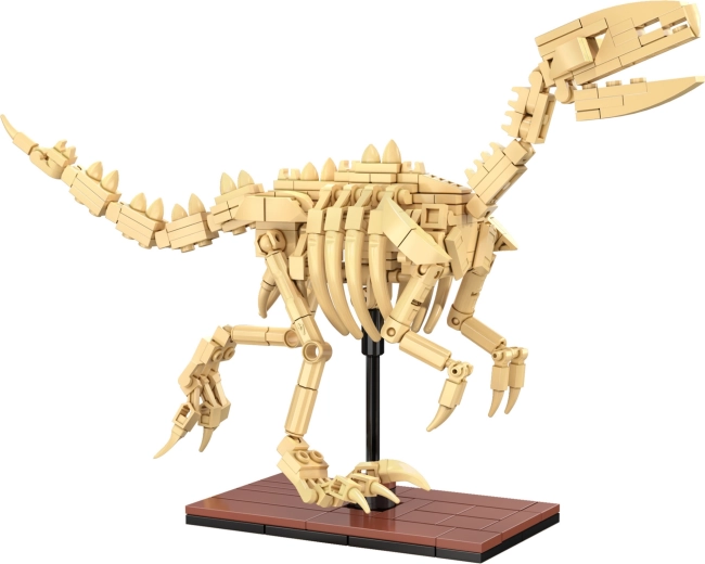 Lichtgevende skeletten en fraaie presentatie