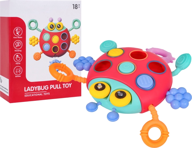 Multifunctioneel zintuiglijk lieveheersbeestje voor de allerkleinsten