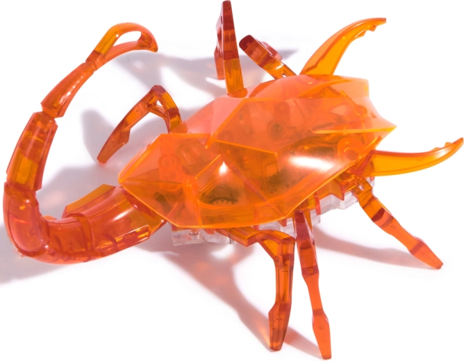 Transparant design en duurzame constructie