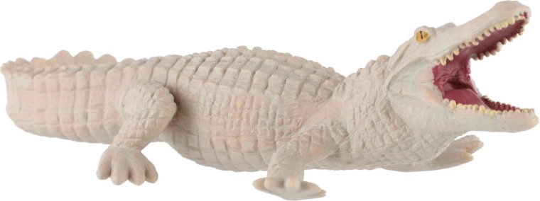 Zeldzame witte kleur