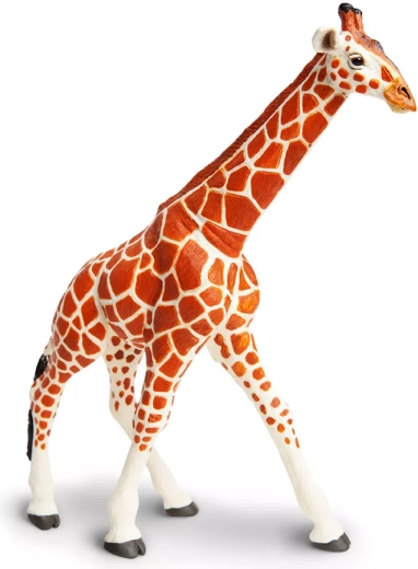 Geweldig om mee te spelen en als decoratie