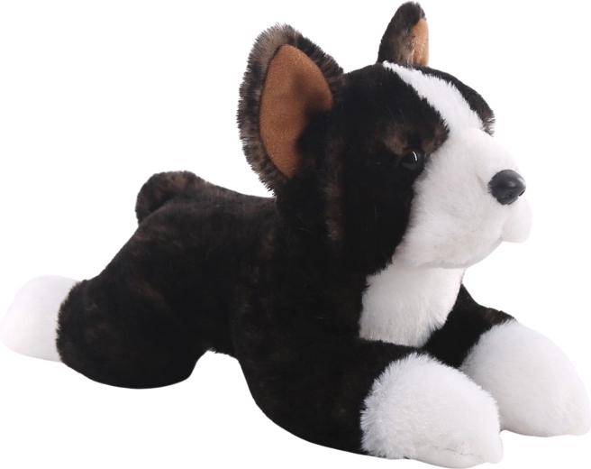 Pluchen Bostonterriër 25 cm