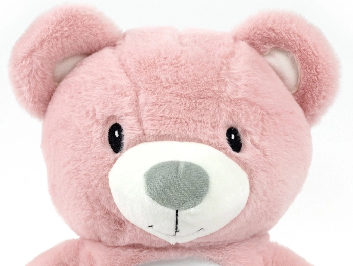 Afneembare projector en timer