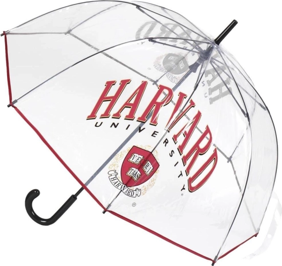 Transparante XL-paraplu Harvard - 1 stuk