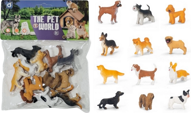 Dieren – honden