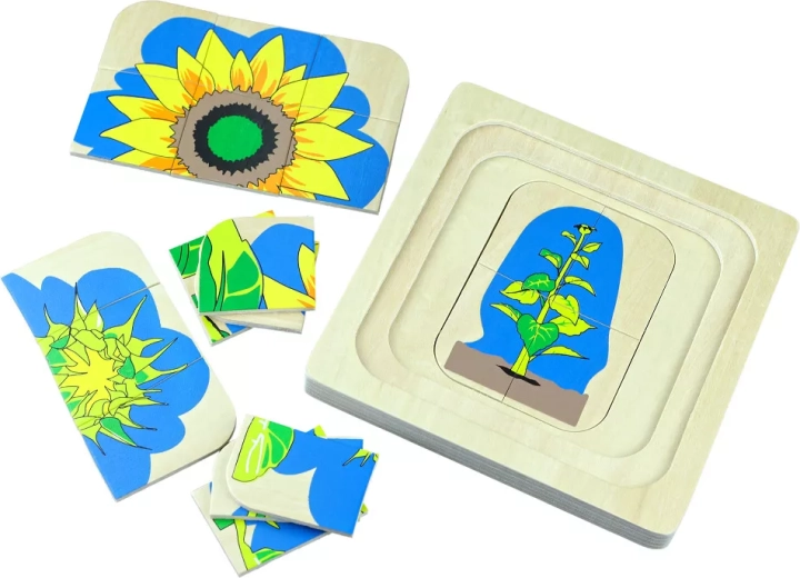 Houten puzzel met meerdere lagen Levenscyclus van een bloem