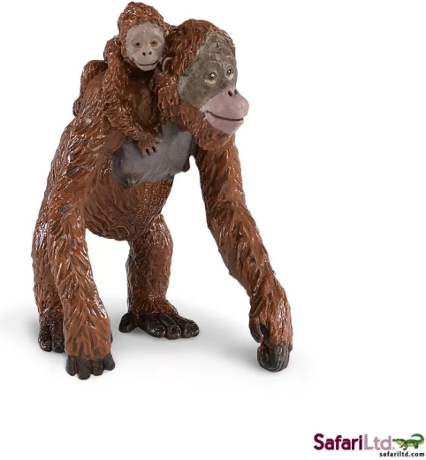 Orang-oetan met jong