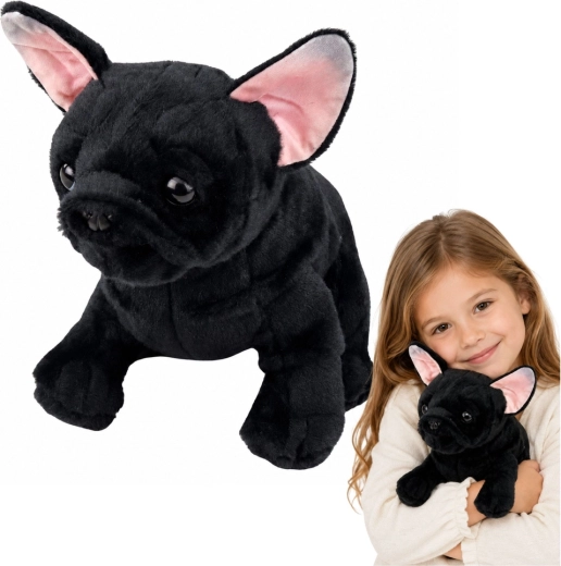 Pluchen Franse buldog zwart 22 cm