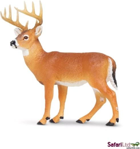 Witstaarthert Safari Ltd.