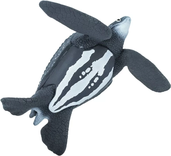 Ideale grootte voor een kinderhand