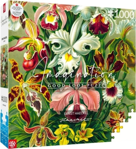Puzzle Imagination: Ernst Haeckel – orchidee 1000 stukjes