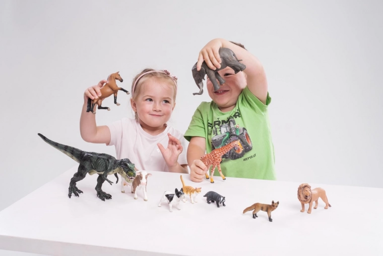 Voor spelen en tentoonstellen