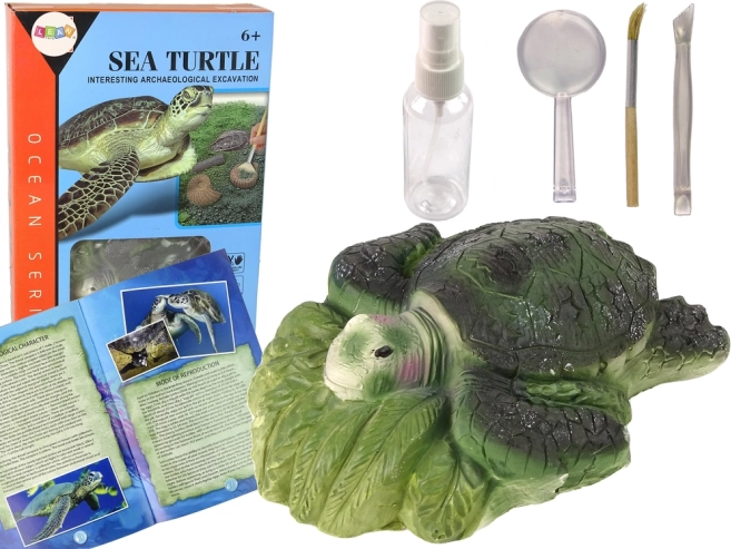 Educatieve set ammonieten schildpad opgravingen