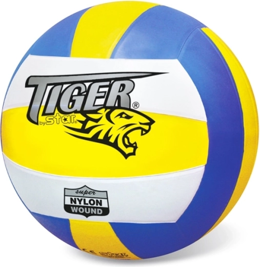 Volleybal