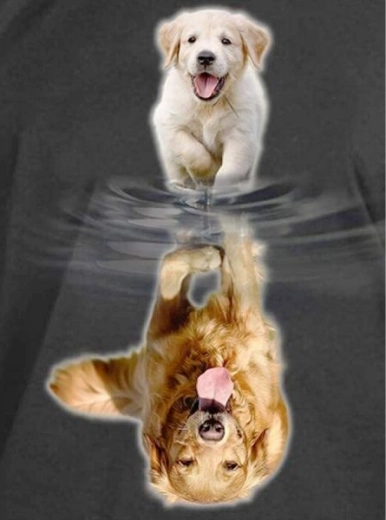 Diamantschilderen – spiegelreflectie - hond 30 × 40 cm - 1 stuk
