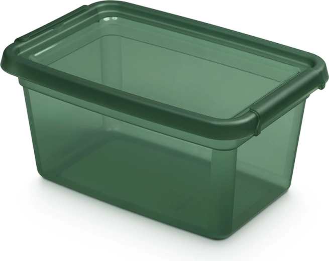 Basestore opbergbox met deksel en clips pine 4,5 l