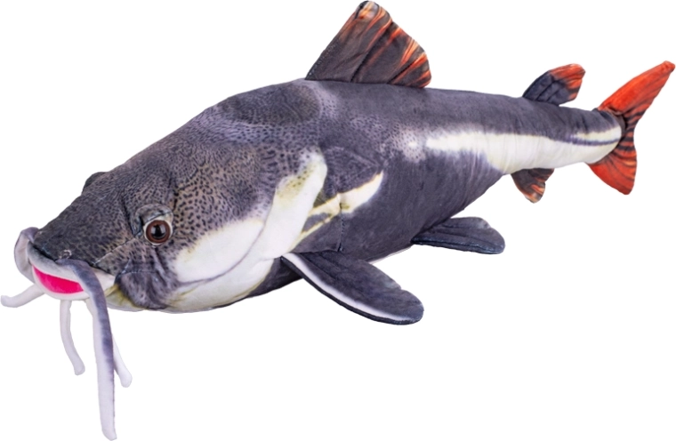 Pluchen meerval 56 cm