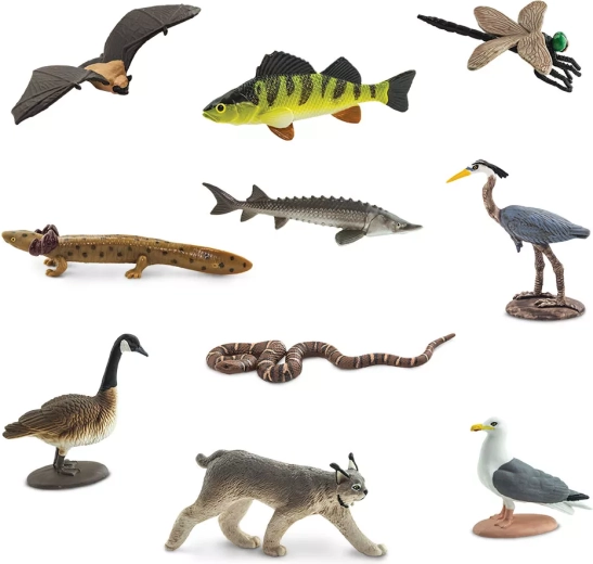10 dierenminiaturen uit het gebied van de Grote Meren
