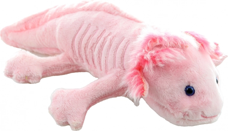 Veilig voor baby’s