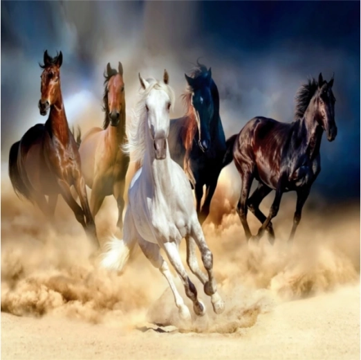 Diamantmozaïek (diamond painting) kudde galopperende paarden 30 × 30 cm