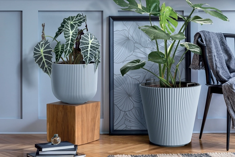 Modern geribd design