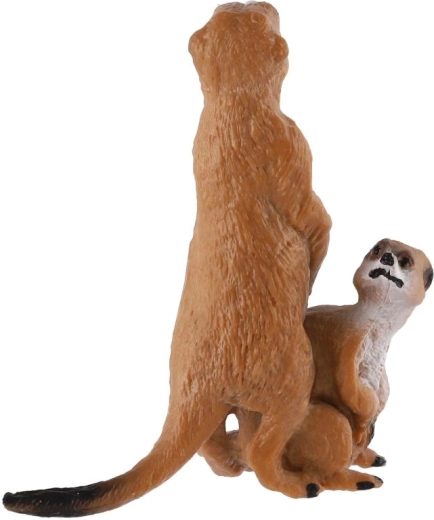 Voor spelen en tentoonstellen