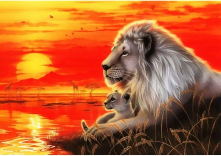 Schilderij om te schilderen op nummer in lijst 50 × 40 cm – waardige leeuw
