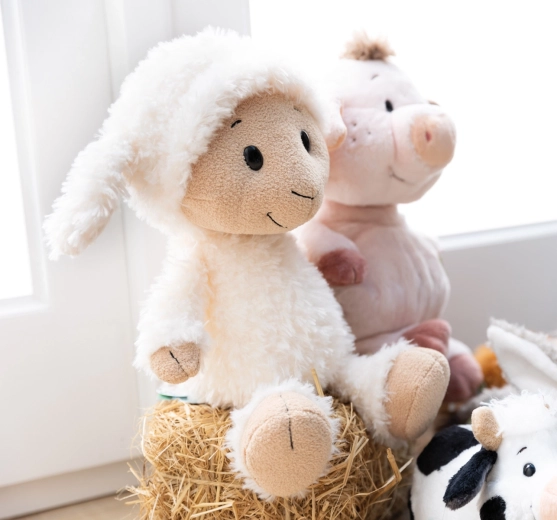 Duurzame NICI Green-collectie (RPET)