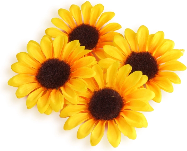 Herfstkleuren voor creatieve decoratie