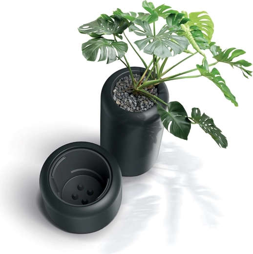 Dubbele wand: isolatie en drainage voor gezondere wortels