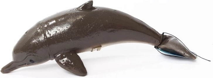 Dolfijn 21 cm