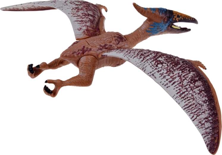 Gevarieerde set voor eindeloze verhalen