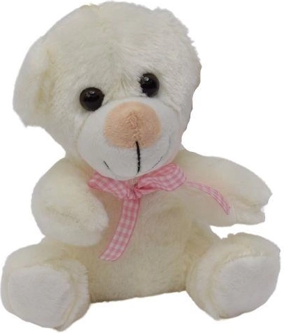 Schattig geruit strikje