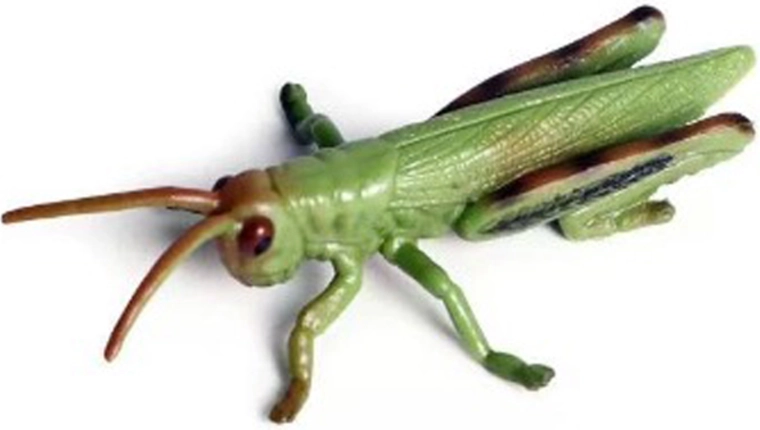 Insect – sprinkhaan 9 cm