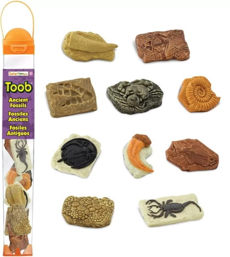 Safari Ltd. Toobs-tube Fossielen