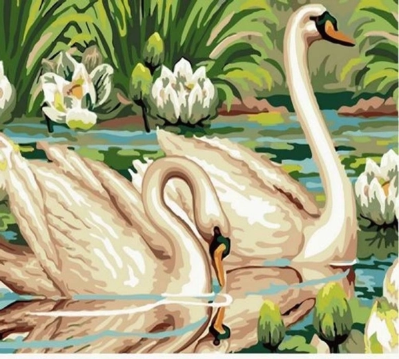 Norimpex Schilderen op nummer Zwanen in de vijver 40 × 50 cm