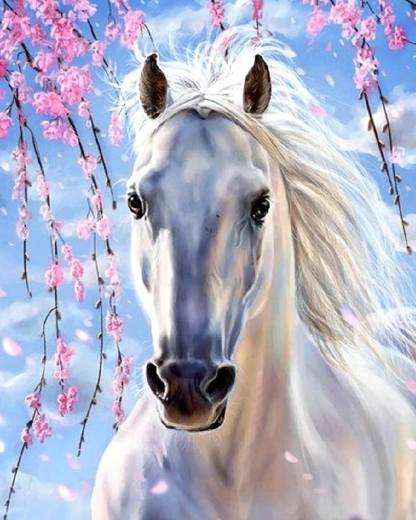 Norimpex Schilderen op nummer witte paard onder roze bloeiende takken 40 × 50 cm