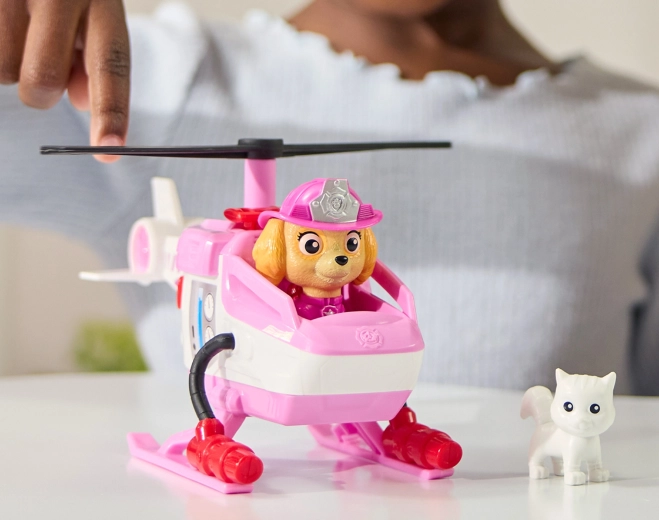 Draaibare rotor en stabiel landen