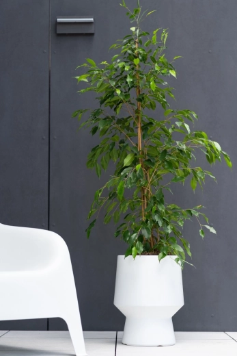 Stijlvolle interieuraccessoire