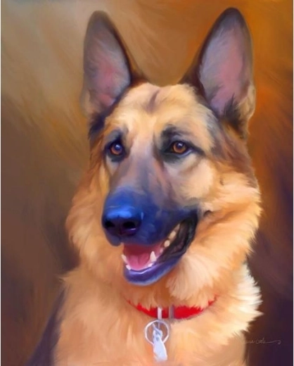 Diamantmozaïek (diamond painting) – Duitse herder 30 × 40 cm