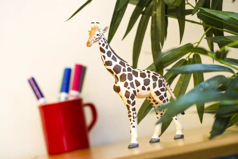 Ideale grootte voor kinderhanden en onderweg