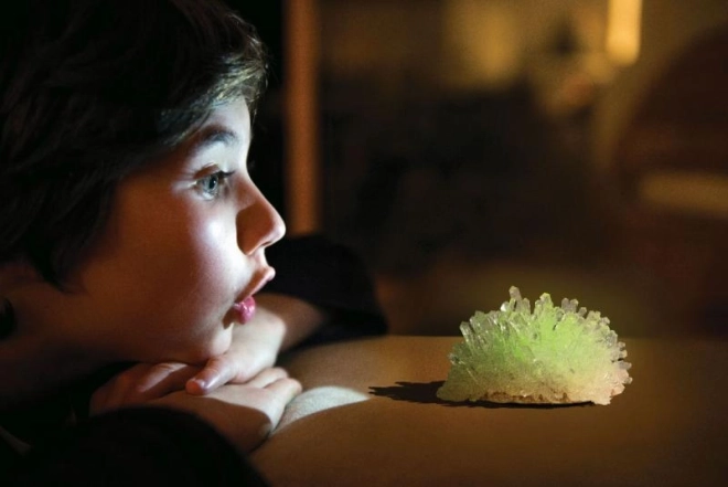 lichtgevende kristallen – wetenschappelijke set voor het kweken van kristallen